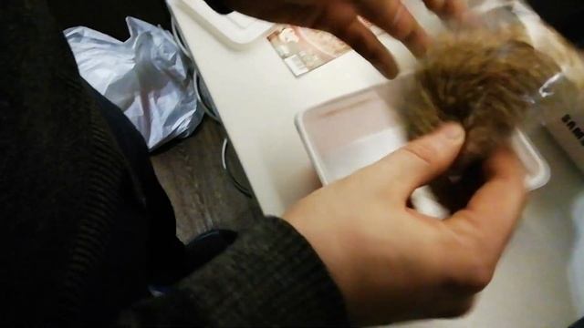 Кулинарные угощения с Анной