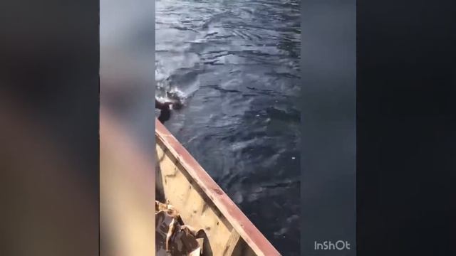 Рыбалка в Туве смотреть онлайн