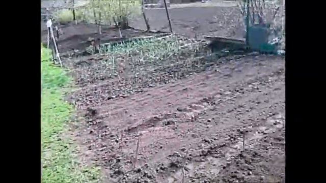 Фрезеровка пахатной почвы мотоблоком смотреть онлайн
