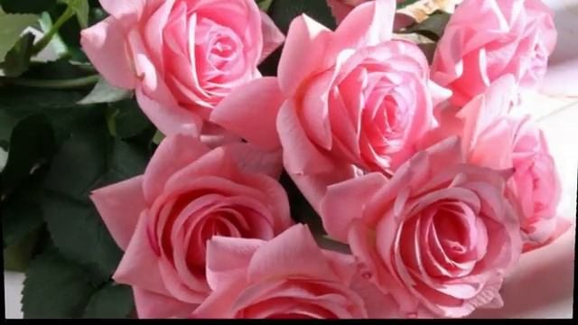 С_ДНЕМ_РОЖДЕНИЯ_МУЗЫКАЛЬНАЯ_ОТКРЫТКА_ПОЗДРАВЛЕНИЕ.mp4 смотреть онлайн