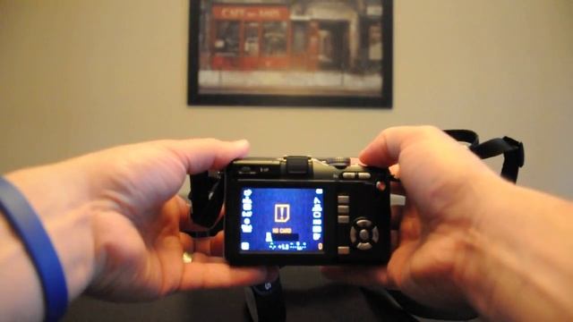 Olympus PEN E-PL1 смотреть онлайн