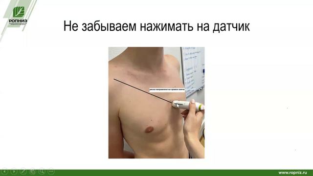 ГиП занятие 1 - основные Эхо позиции