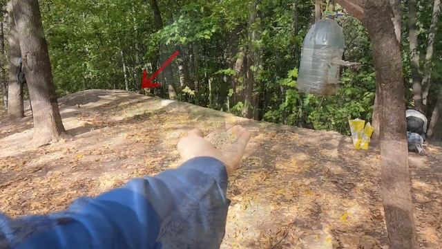 Кормим птичек и белочек в Нескучном саду (Парк Горького, Москва) | замедленная съёмка | # 102 смотреть онлайн