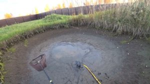 Рост карпа за сезон. Итог спустя 5 месяцев после зарыбления (15.10.2020)