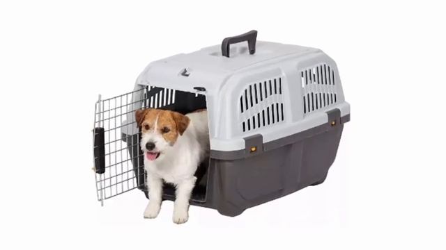 Стоит ли покупать переноску MPS SKUDO 36x55x35см серый отзывы очень удобная перевозка для собак смотреть онлайн