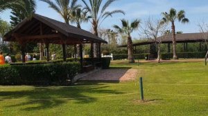 Sunis  Elita Beach Resort 5* семейный отель Ультра все включено #анталия #турция