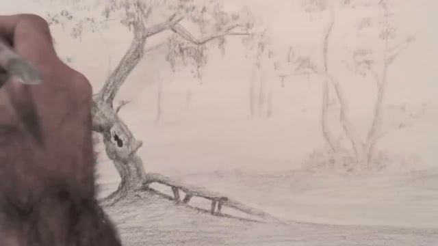 How to Draw a Tree - Landscape смотреть онлайн