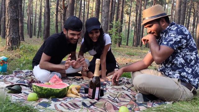 IS THIS FOREST SAFE FOR PICNIC ??? || VLOG: 05 || MED HIGH FIVE смотреть онлайн