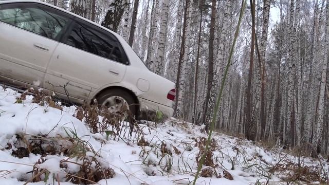 Пузотёрка в лесу смотреть онлайн