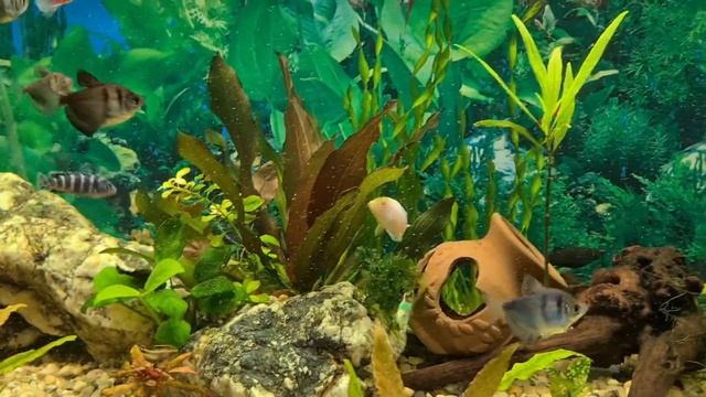 Строительные Размышления