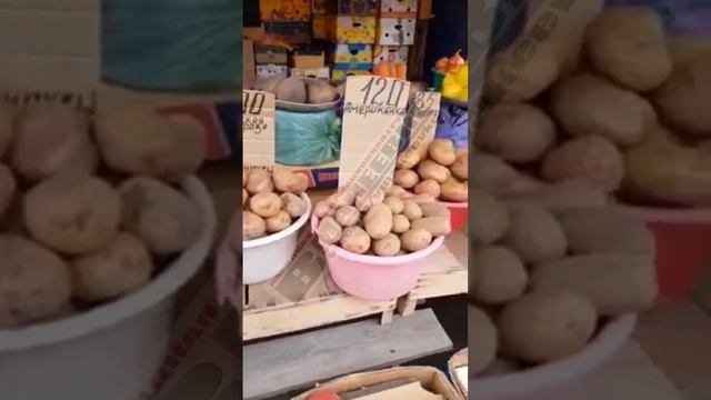 Картошка в Донецке по 120 рублей! смотреть онлайн