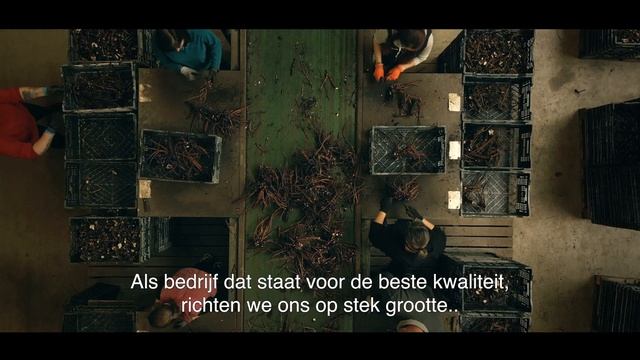 A trip through the world of Groot & Groot Peonies смотреть онлайн
