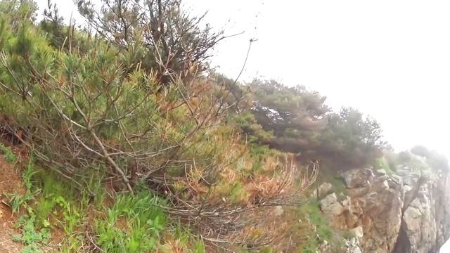 П-ов Гамова, б.Орлинка -полный восторг ))) 30.05.2021 смотреть онлайн