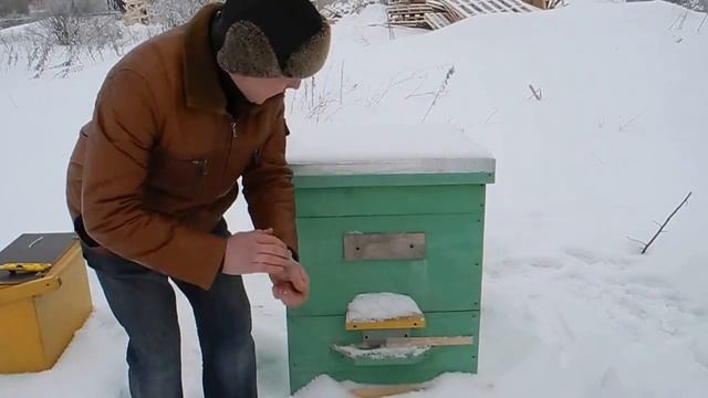 Как сделать канди для пчел видео. Зимняя подкормка пчел смотреть онлайн