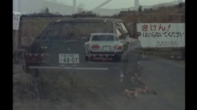 太陽にほえろ！ 第245話 刑事犬対ギャング犬 смотреть онлайн