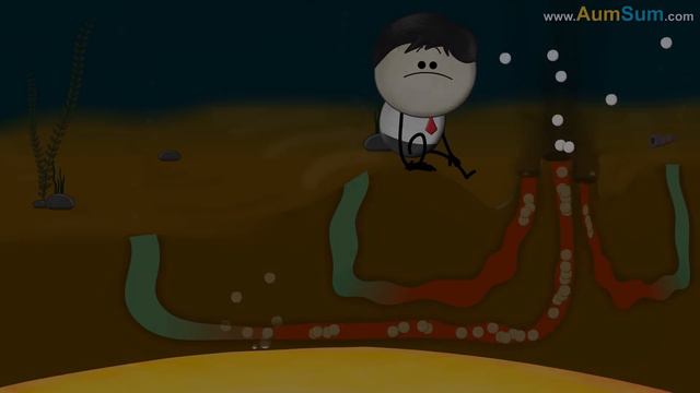 What if we Drink too much Water? + more videos | #aumsum #kids #science #education #children смотреть онлайн