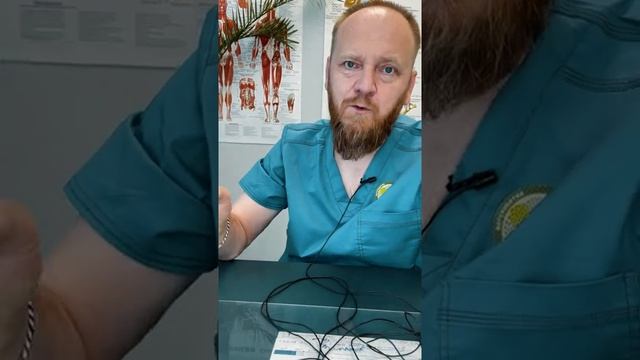 Если принимать холодный душ каждый день что происходит смотреть онлайн