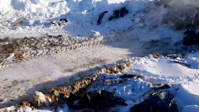 Замело снегом, не добраться до кормов. Открываем новый КУРГАН. Февраль-30°С смотреть онлайн