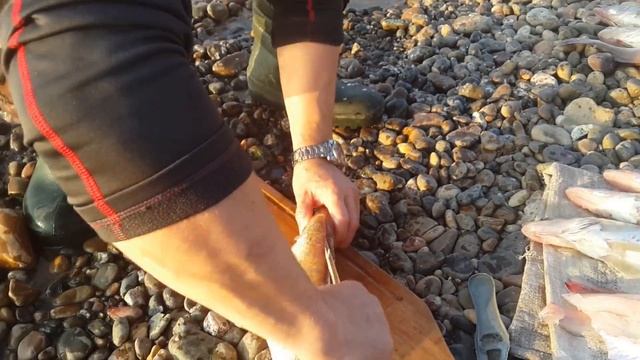 филе судака на берегу МАСТЕР КЛАСС !!! рКАМА смотреть онлайн