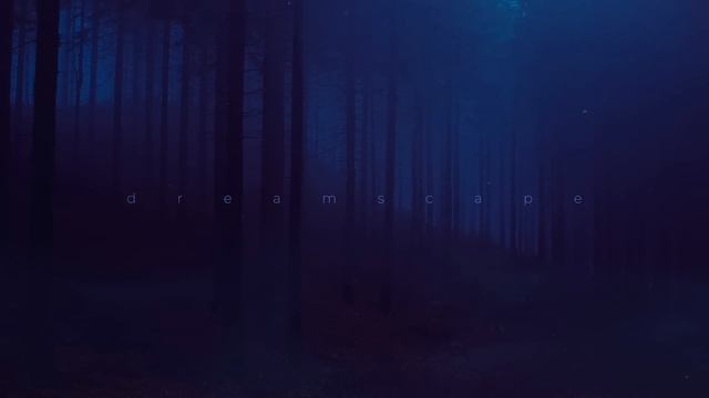 tilekid - you not the same (slowed) 1 hour loop смотреть онлайн