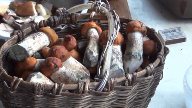 ВИДЕО РЕЦЕПТ ПОДОСИНОВИКИ С КАРТОФЕЛЕМ И ЛУКОМ ЖАРЕНЫЕ НА ГРИЛЕ СЮФ КРАСНОДАРСКИЙ ТРАССА Е 95 смотреть онлайн