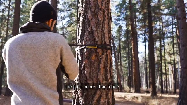 Wise Owl Outfitters SingleOwl and DoubleOwl Plus hammock смотреть онлайн