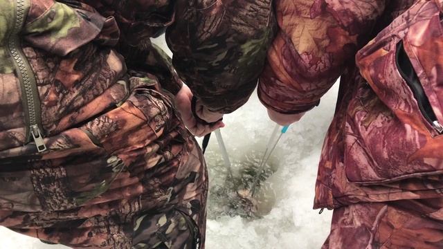 Вываживание большого толстолобика (14,8 кг) в ПРиО Лагуна 18 марта 2017 года смотреть онлайн