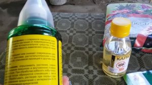 Лекарства для плодовых деревьев от насикомых и болезней опрыскивание деревьев