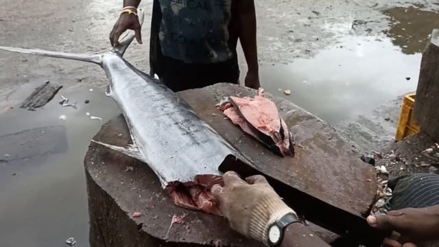 30 KG Massive KOLA Fish Cutting & Chopping Kasimedu Fish Market | ₹3500/ - $45 |Fastest Fish Cuttin смотреть онлайн