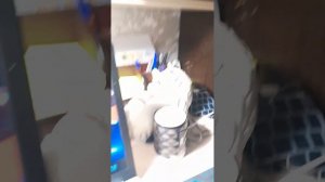 как сделать растяг в standknife на пк