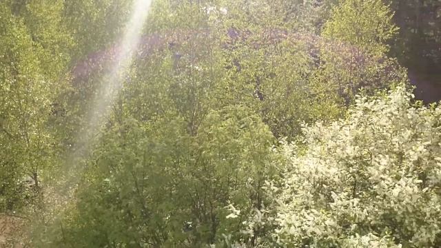 Черемуха благоухает, двор)) смотреть онлайн