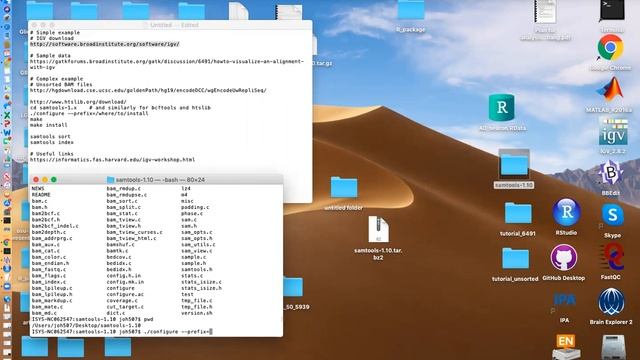 B4B: Module 3 - Integrative Genomic Viewer смотреть онлайн