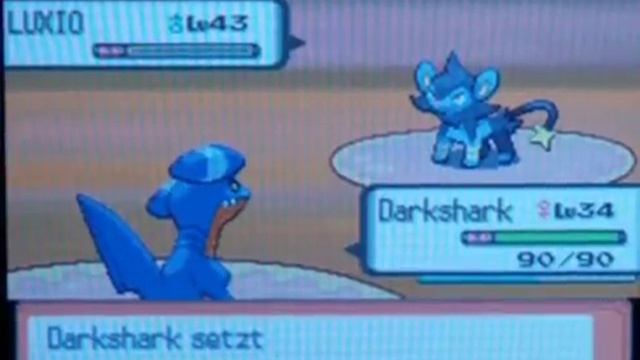 Let´s Play Pokemon Perl Part 66: Auf die nächste Route смотреть онлайн