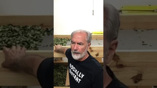 Let’s Make Some Tea!