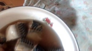 как посолить и пожарить рыбу с особо выражинным вкусом Посол рыбы что важно использовать при засолк