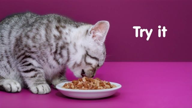 Whiskas Kitten Gravy