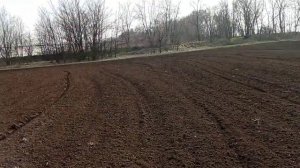 5.03.21. посев гороха !