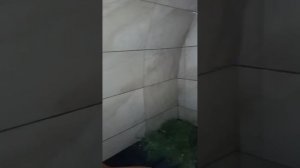 Мини баня из пенопласта.