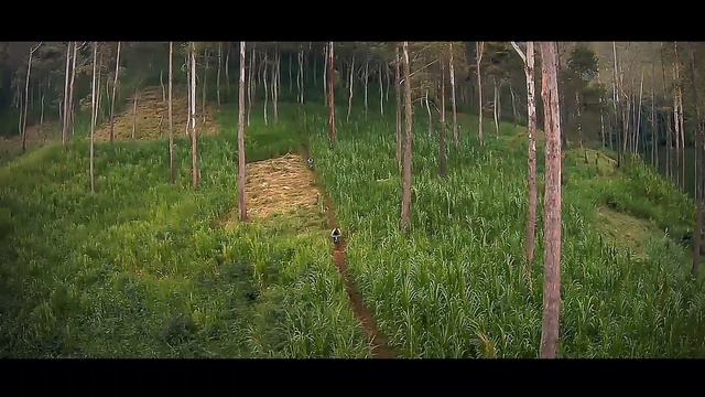 MJX bugs 2 c cinematic Firefly q6 ,mtb all mountain Tanjungsari Sumedang смотреть онлайн