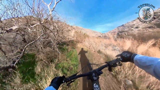 PALM CANYON EPIC 12/17/24 (part 2) смотреть онлайн