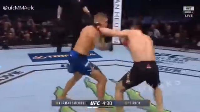 ОЗВУЧКА UFC ХАБИБ VS ПУРЬЕ смотреть онлайн