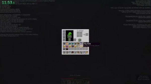 Minecraft DREAM Speed Run World Record 19:25