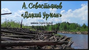 Анатолий Севастьянов "Дикий урман" Часть 1. Аудиокнига. Читает Сергей Волков.