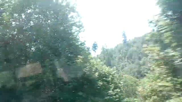 По дороге из Фрайбурга на озеро Титизее, 25-05-2017. смотреть онлайн