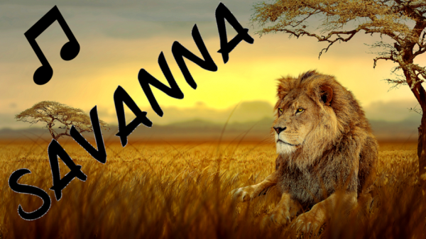 Savanna