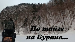 Такую Тайгу мало кто видел. На буране по тайге. Offroad. Съездил туда где никогда не было дорог.