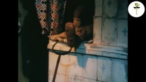 RYTP Домовёнок Кузя | Приключения Домохрена