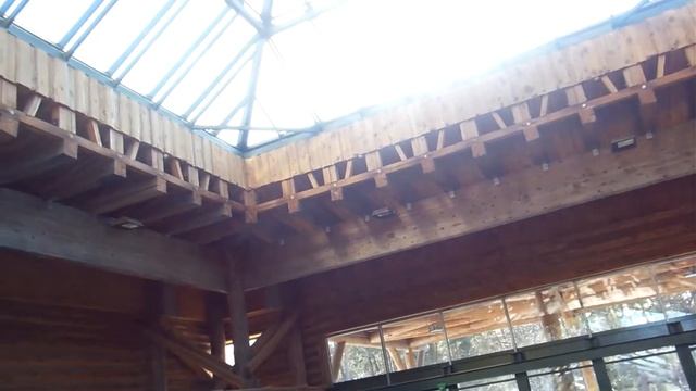 Рига зоопарк смотреть онлайн