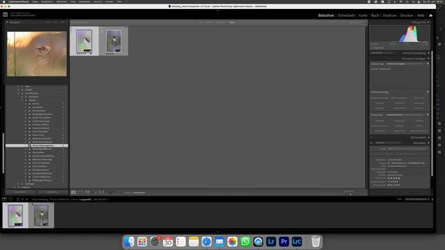 Von Lightroom Classic auf Lightroom CC: Macht ein Wechsel im Jahr 2023 Sinn? смотреть онлайн