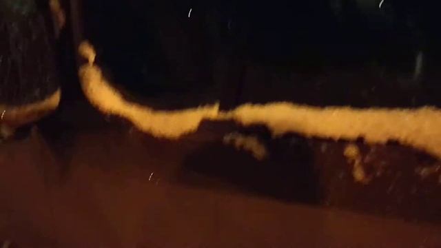 Renault Traffic Passenger 1,6L 125 dci 2017 Cold start -20 degrees celsius смотреть онлайн